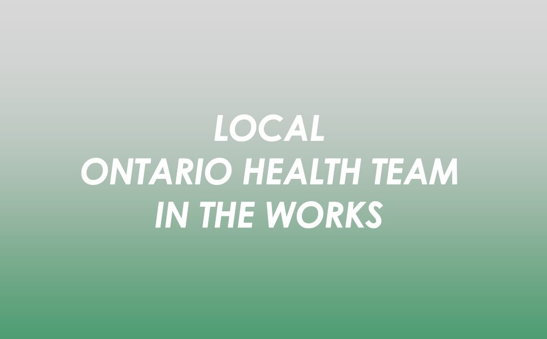 Rainy River District Groups working to create a local Ontario Health Team